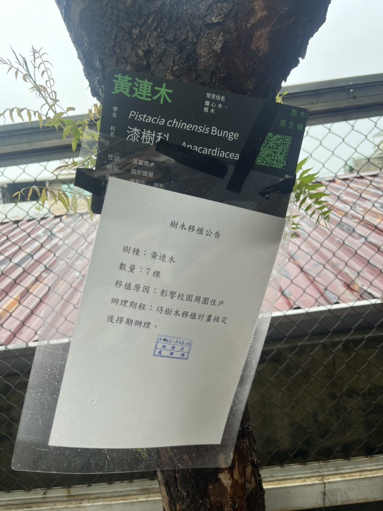 黃連木告示牌